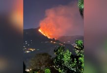 En Antioquia fueron reportados y controlados ocho incendios de cobertura vegetal
